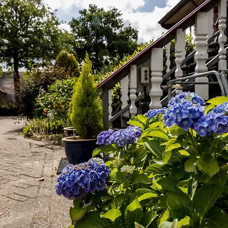 Vakantiehuis Bij Nr 5 Teuge Terwolde